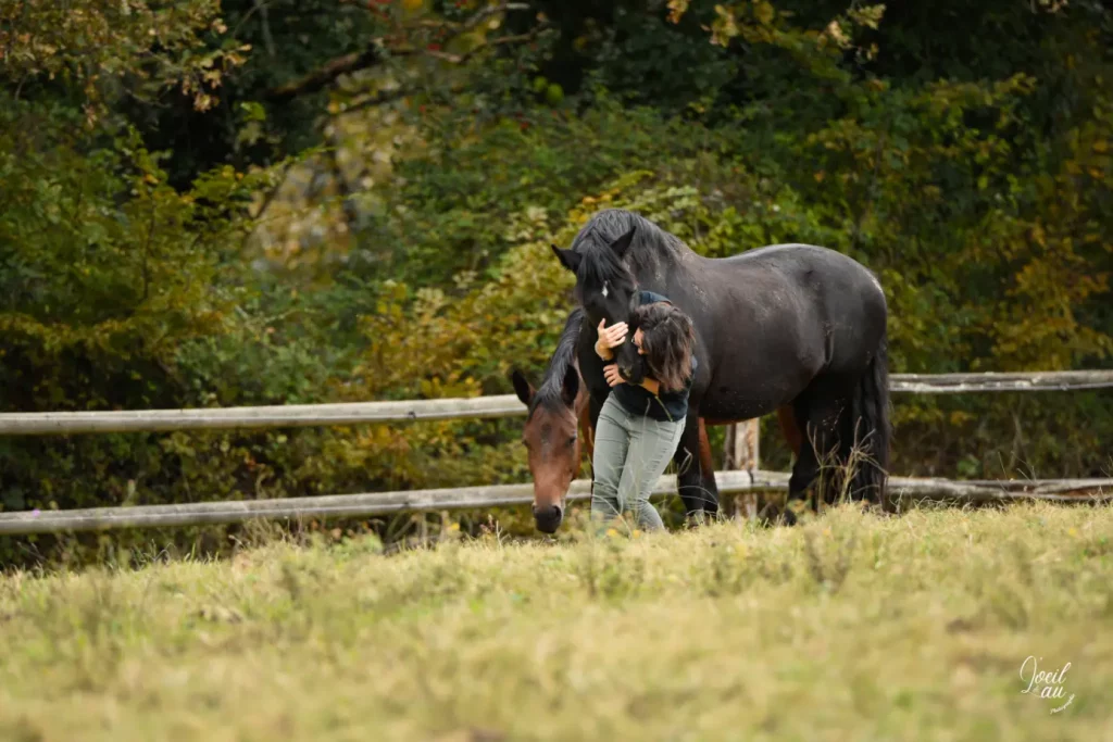 pension chevaux pau