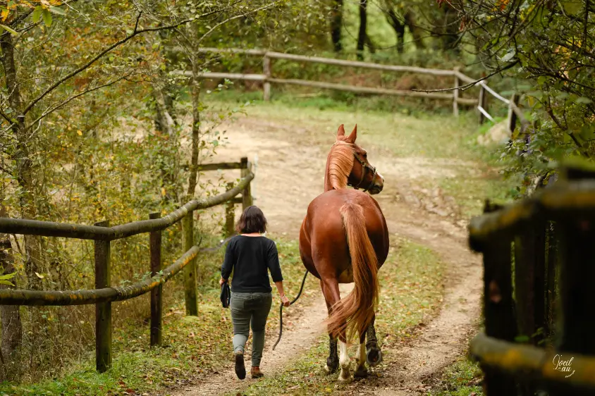 equicoaching domaine larrouye