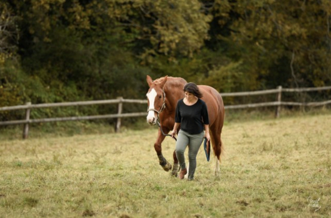 equicoaching larrouye