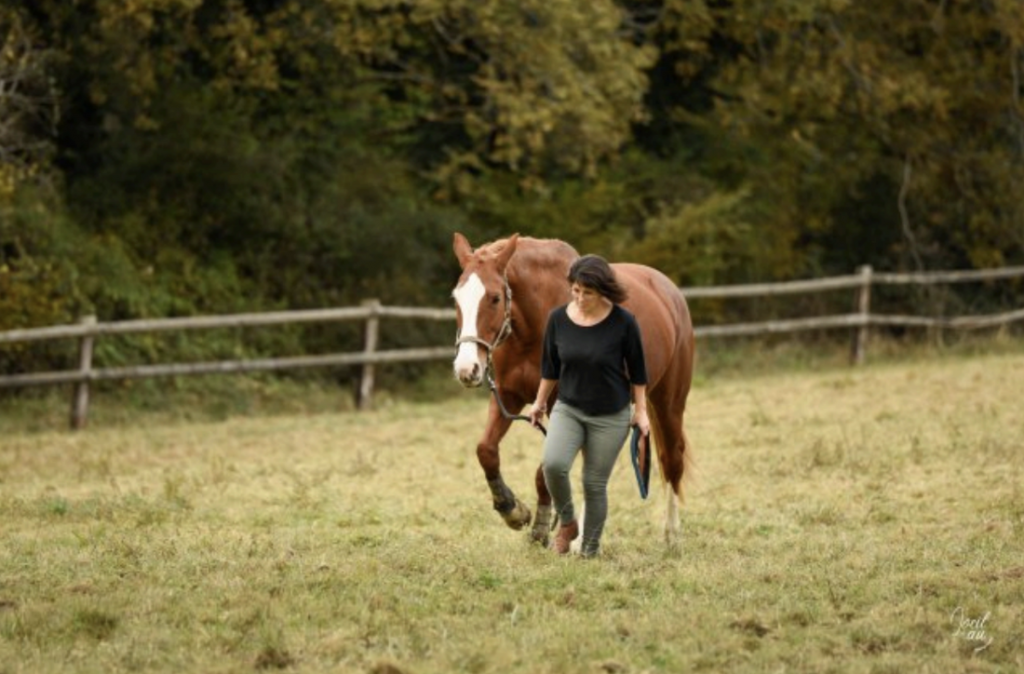 stages domaine larrouye