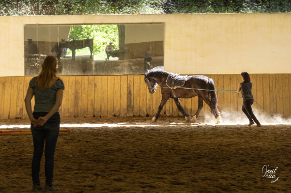 stages domaine larrouye